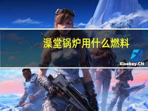 澡堂锅炉用什么燃料（澡堂锅炉多少钱）