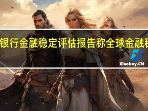 澳大利亚储备发布银行金融稳定评估报告称全球金融稳定风险升高且不断增加