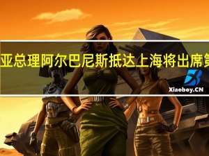 澳大利亚总理阿尔巴尼斯抵达上海将出席第六届进博会