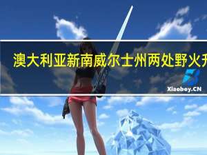 澳大利亚新南威尔士州两处野火升级