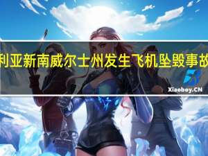 澳大利亚新南威尔士州发生飞机坠毁事故致1人死亡