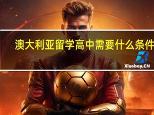 澳大利亚留学高中需要什么条件啊