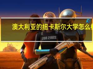 澳大利亚的纽卡斯尔大学怎么样