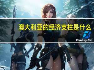 澳大利亚的经济支柱是什么