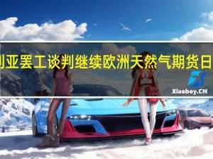 澳大利亚罢工谈判继续欧洲天然气期货日内大涨超15%