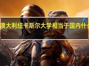 澳大利纽卡斯尔大学相当于国内什么大学