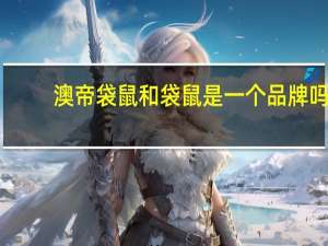 澳帝袋鼠和袋鼠是一个品牌吗