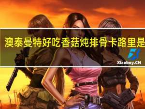 澳泰曼特好吃香菇炖排骨卡路里是多少