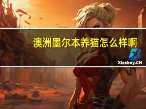 澳洲墨尔本养猫怎么样啊