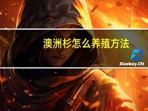 澳洲杉怎么养殖方法