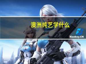 澳洲纯艺学什么
