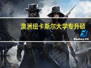澳洲纽卡斯尔大学专升硕