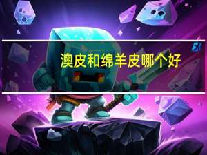 澳皮和绵羊皮哪个好