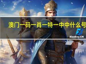澳门一码一肖一特一中中什么号码，无上精选答案落实_MTX8.8