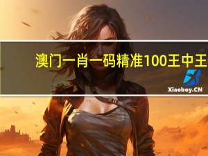 澳门一肖一码精准100王中王_详细解答解释落实_实用版662.484