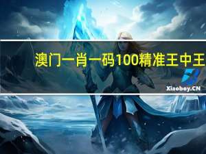 澳门一肖一码100%精准王中王_精选作答解释落实_实用版857.371