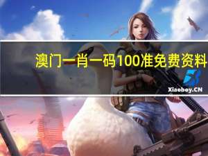 澳门一肖一码100准免费资料，拜见精选答案落实_TF271.63