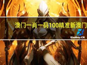 澳门一肖一码100精准新澳门：澳门4949资料免费公开的信息-通过大数据解释落实-2278.ISO.421