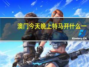 澳门今天晚上特马开什么一：精选AI解释落实-3848.3D.A835