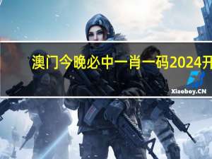 澳门今晚必中一肖一码2024开，退色精选答案落实_TK795.938