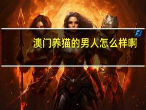 澳门养猫的男人怎么样啊