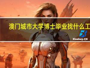 澳门城市大学博士毕业找什么工作