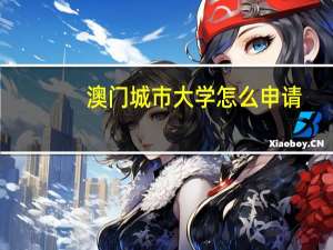 澳门城市大学怎么申请