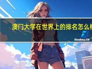 澳门大学在世界上的排名怎么样