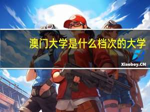 澳门大学是什么档次的大学