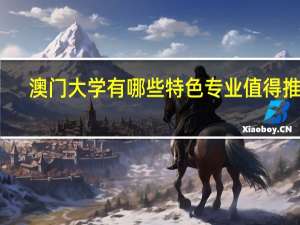澳门大学有哪些特色专业值得推荐