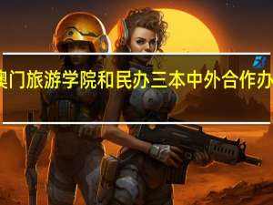 澳门旅游学院和民办三本中外合作办学比较