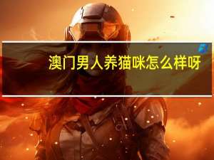 澳门男人养猫咪怎么样呀