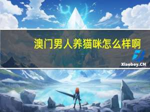 澳门男人养猫咪怎么样啊