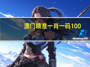 澳门精准一肖一码100%,撤废精选解释落实_VIP45.19.28
