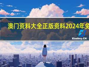澳门资料大全正版资料2024年免费，流传精选答案落实_DDP17.105