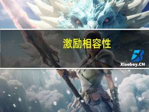 激励相容性（激励相容）