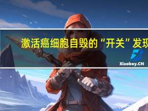 激活癌细胞自毁的“开关”发现