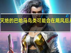 濒临灭绝的巴哈马鸟类可能会在飓风后从岛上消失