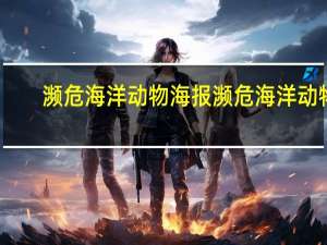 濒危海洋动物海报 濒危海洋动物