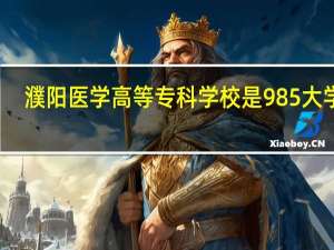 濮阳医学高等专科学校是985大学吗