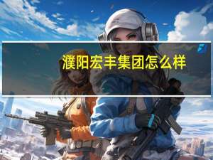 濮阳宏丰集团怎么样