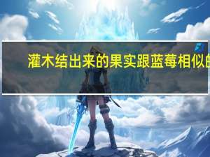 灌木结出来的果实跟蓝莓相似的