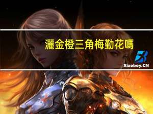 灑金橙三角梅勤花嗎
