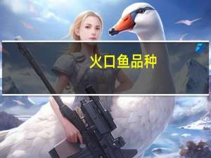 火口鱼品种（火口鱼）