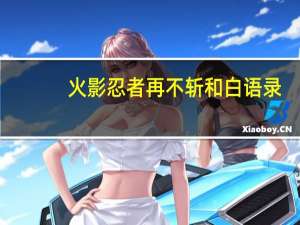 火影忍者再不斩和白语录（火影白-再不斩简介）