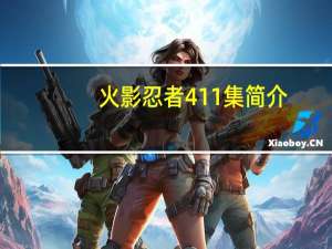 火影忍者411集简介（火影忍者411集）