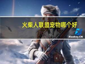火柴人联盟宠物哪个好