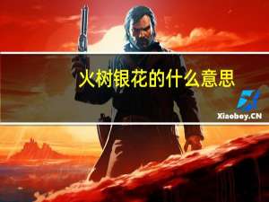 火树银花的什么意思（火树银花什么意思）