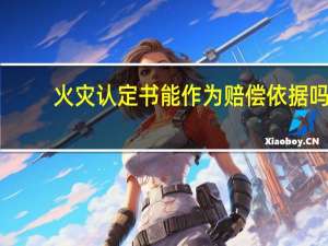 火灾认定书能作为赔偿依据吗