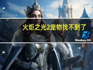 火炬之光2宠物找不到了